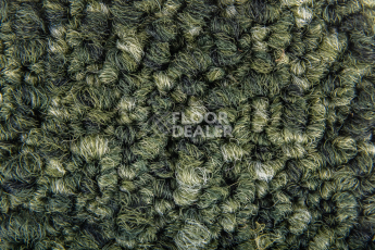 Desso Grezzo Vivid ad 05 7932 B8 фото 4 | FLOORDEALER